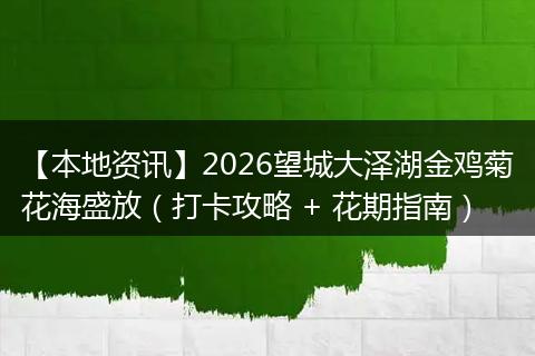 【本地资讯】2026望城大泽湖金鸡菊花海盛放（打卡攻略 + 花期指南）