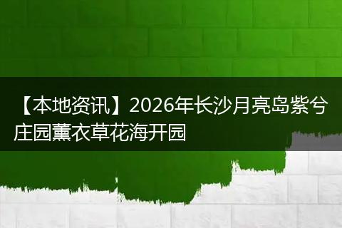 【本地资讯】2026年长沙月亮岛紫兮庄园薰衣草花海开园