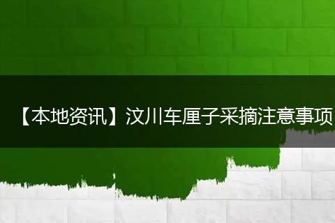 【本地资讯】汶川车厘子采摘注意事项