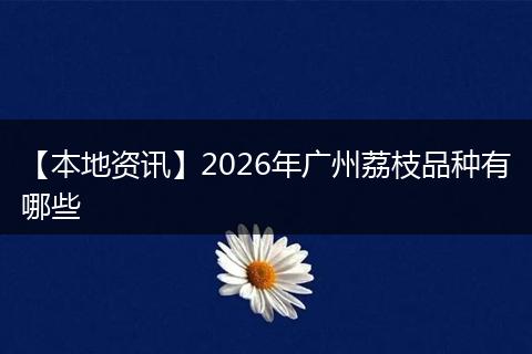 【本地资讯】2026年广州荔枝品种有哪些