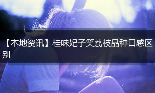 【本地资讯】桂味妃子笑荔枝品种口感区别