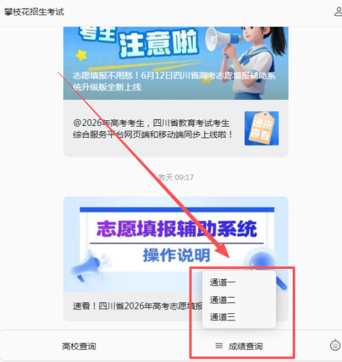 【本地资讯】攀枝花中考成绩查询通道选择